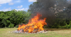 Encabezan FGE y FGR incineración de narcóticos